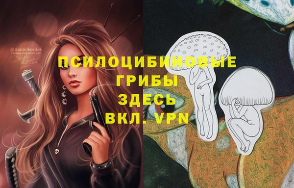 PSILOCYBIN Семёнов
