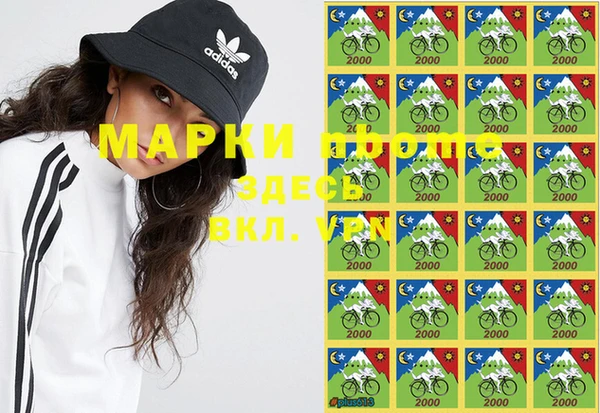 PSILOCYBIN Семёнов