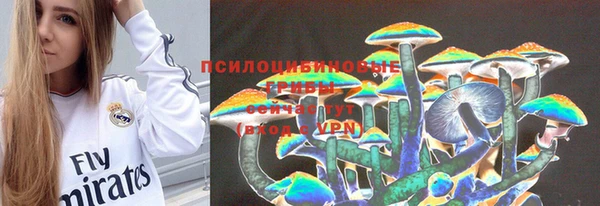 PSILOCYBIN Семёнов