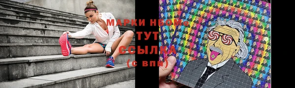 PSILOCYBIN Семёнов
