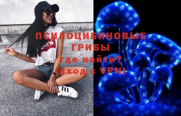 PSILOCYBIN Семёнов